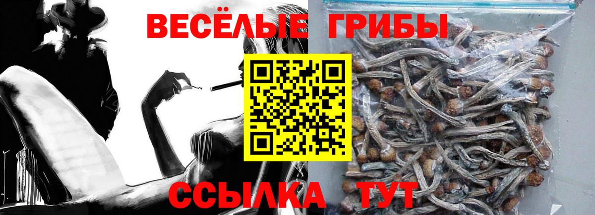 Псилоцибиновые грибы прущие грибы Коломна